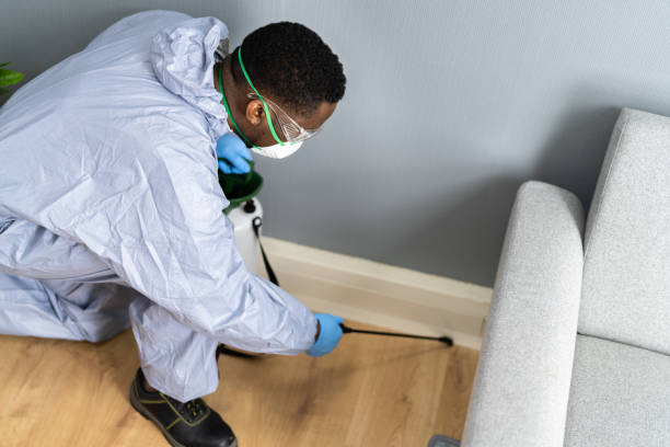 Best Real Estate Pest Inspections  in Brooklyn Park, MN